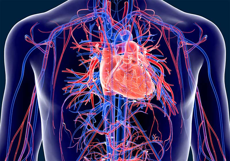 invasive cardiology